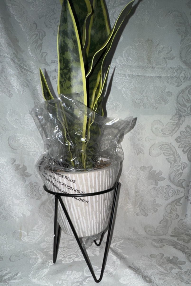 Artificial Plant 1.8 FT H Snake Plant In Gray Needle Cement In Black Metal Weld
