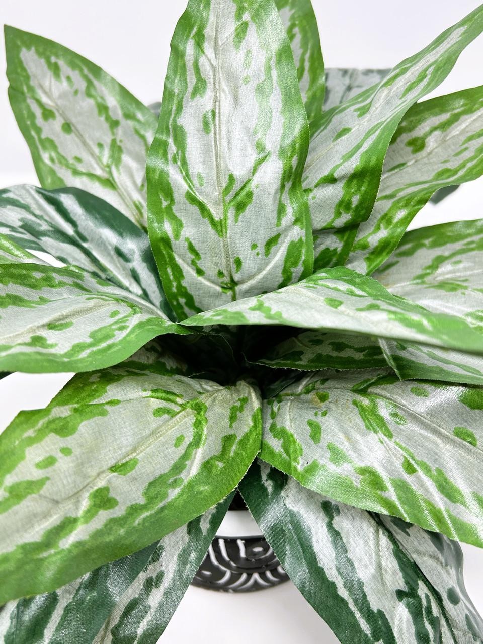 Silk Silver King SWORD plant in Black Ceramic Pot, handmade original by Lower Fo