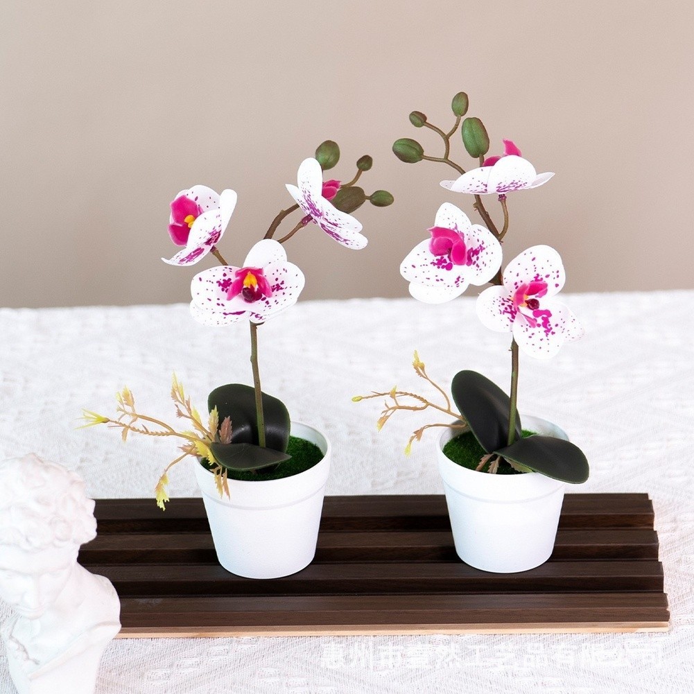 Silk Phalaenopsis Orchid Potted Plant 26cm for Contemporary Home Office