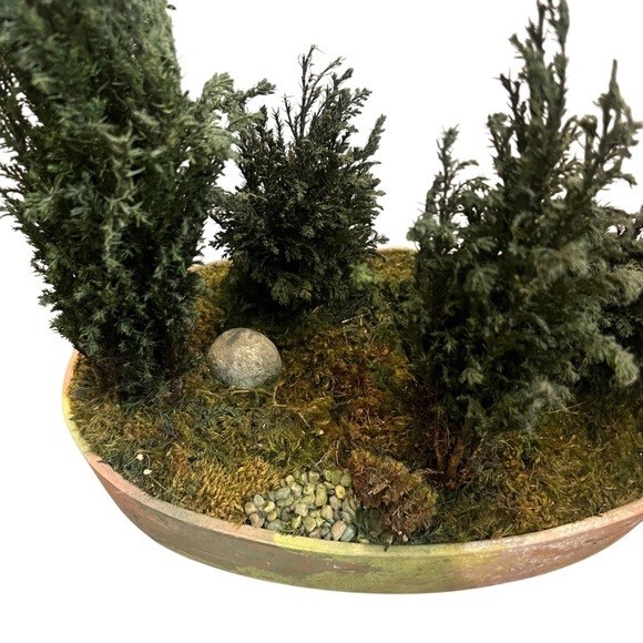 FOREVER GREEN ART Potted Quartet Mini Cypress Tree In Oval Terra Cotta Planter