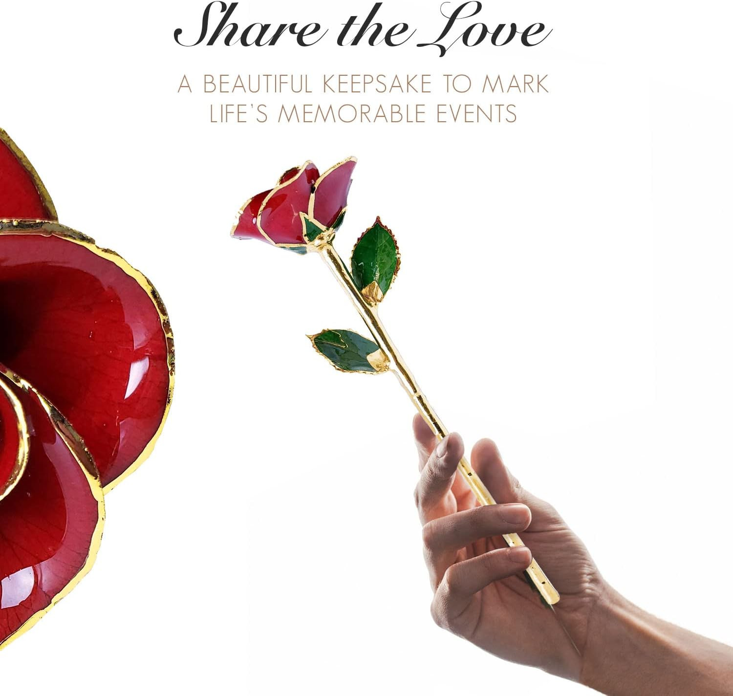 Bloomed, Beautiful 24K Gold Dipped Red Rose That Lasts Forever, 24K Gold Dipped