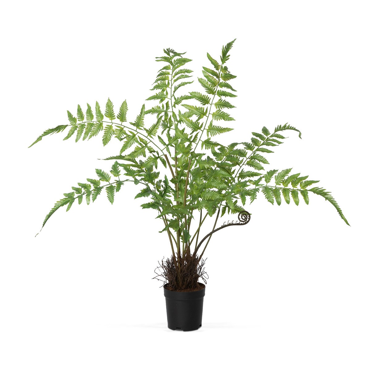 Forest Fern Plant in Growers Pot Artificial Plant Large Green