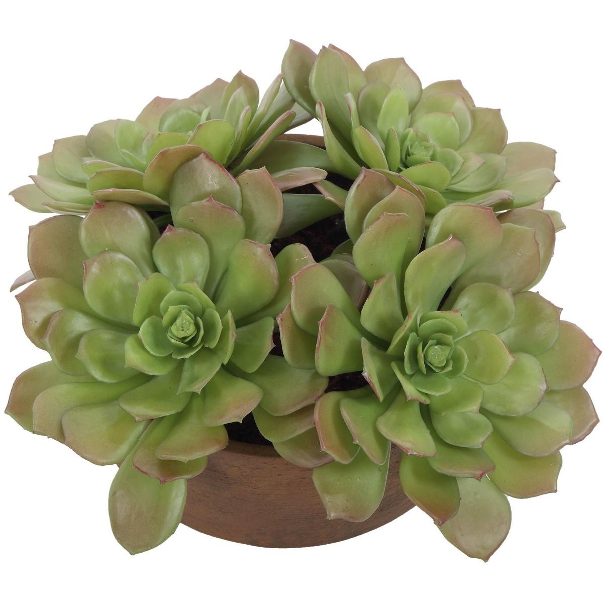 Uttermost 60267 Sable Succulent Terracotta and Green Accent In Pot