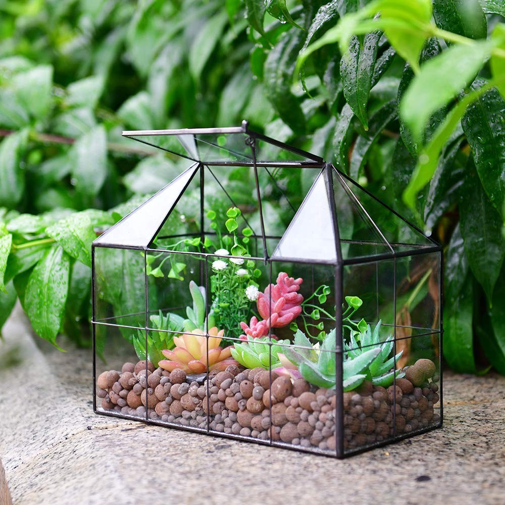 Large Glass Terrarium Planter – Succulent Greenhouse with Lid, 9.8″x7.9″x5.9