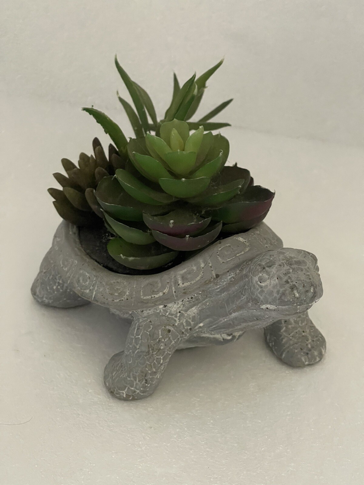 Carved Stone Turtle Potted With Faux Succulent Plants Garden Home Decor Swirls