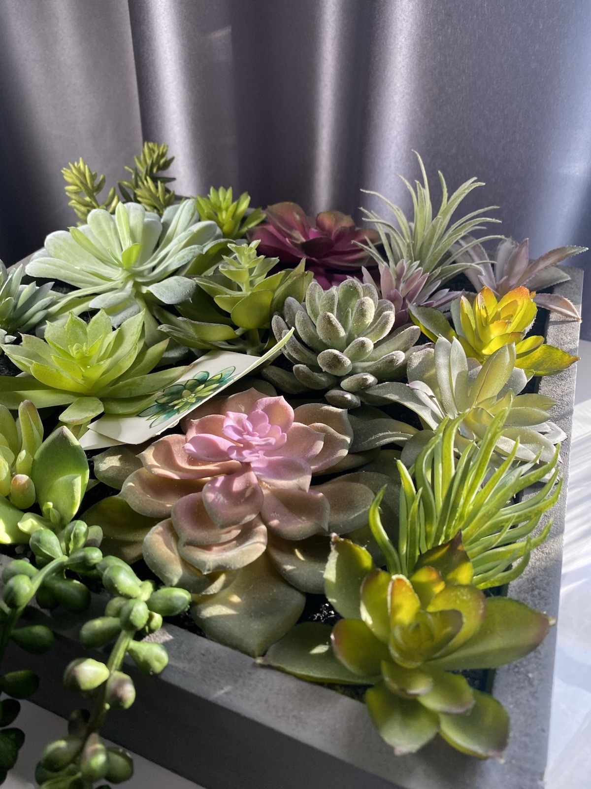 WALL OF FAUX SUCCULENTS in Gray Wood Box Decor Display 12x11x3 inches Art