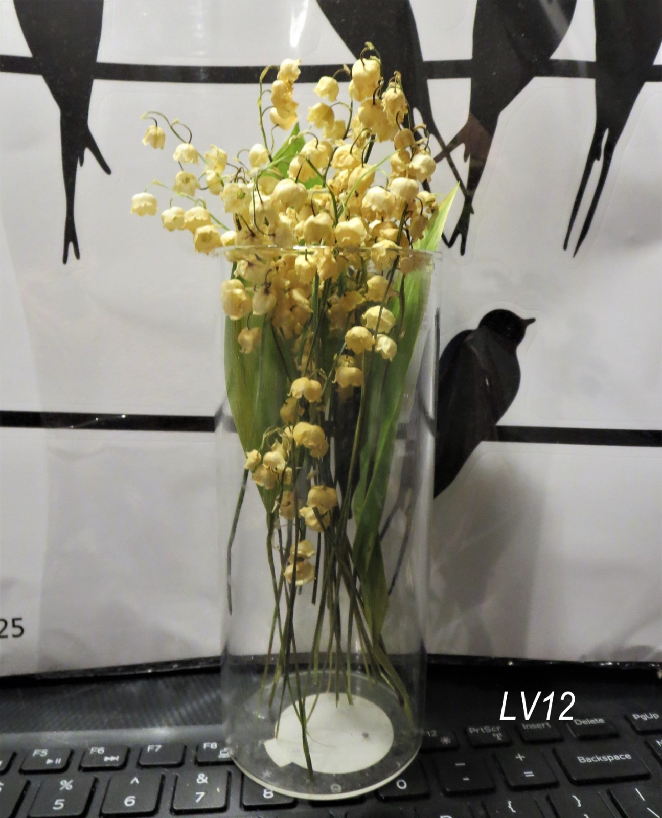 Dried flowers Lily of the valley vial botany Floral Bloom Display ,wunderkammer
