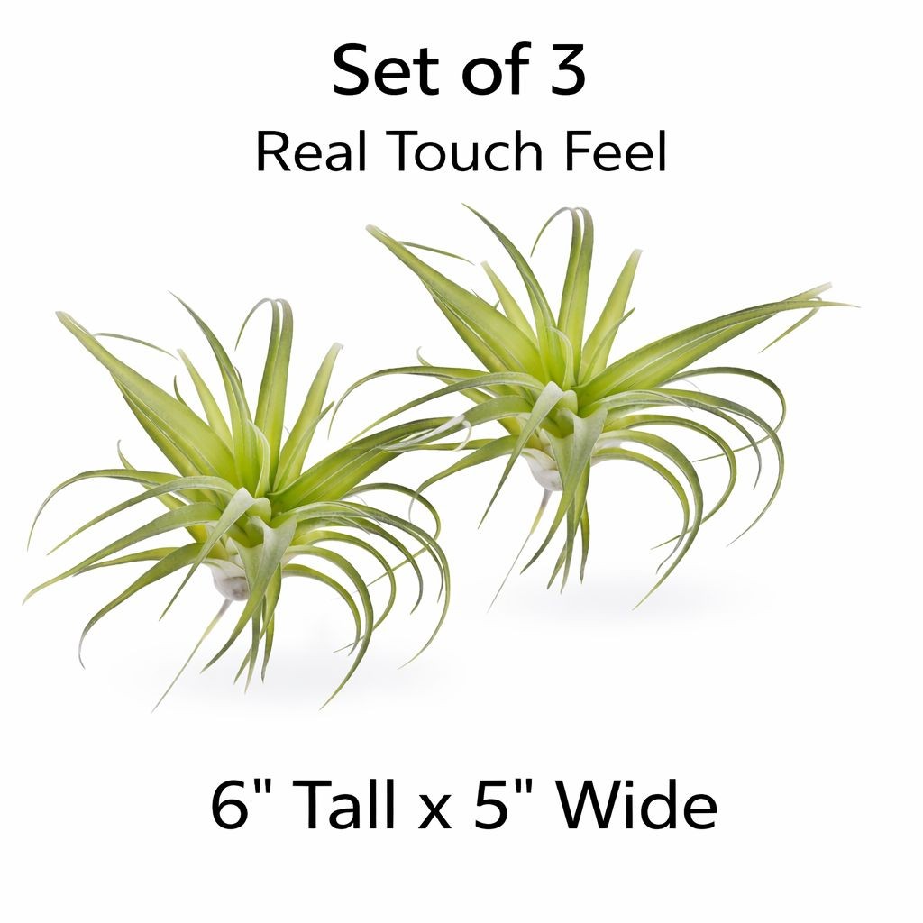 Artificial Air Plant Set of 3 Real Touch Faux Tillandsia Plants Small Faux Air P