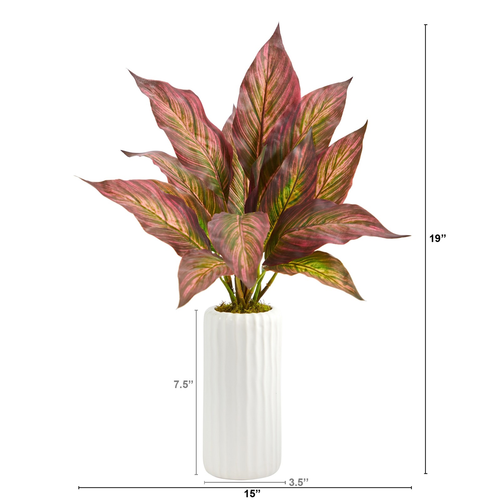 19 Inch Musa Leaf Artificial Plant White Planter Indoor Decor Faux Greenery