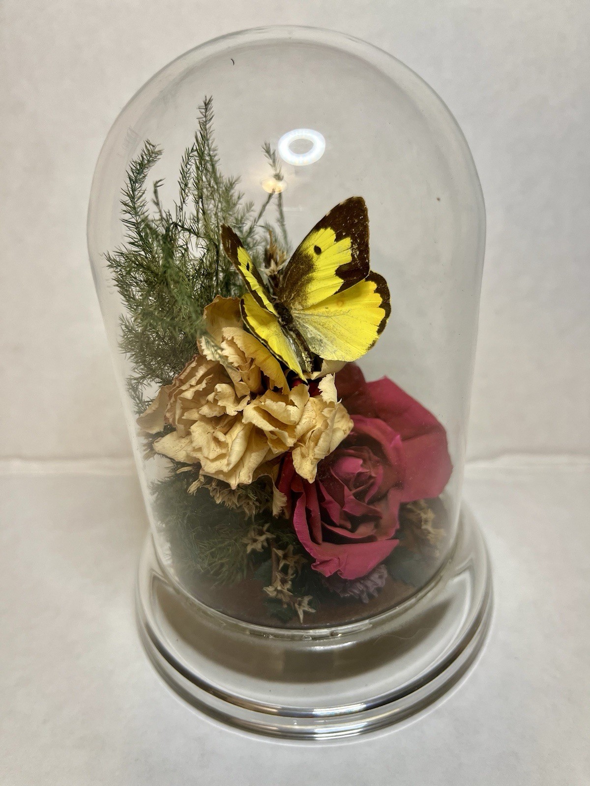 Vintage 90s Natural Expressions Dried Roses Butterfly Glass Terrarium Grannycore