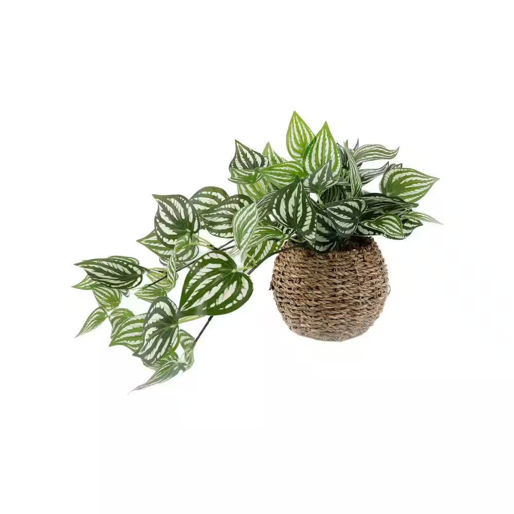 6 In. Brown Artificial Trailing Ivy in Basket