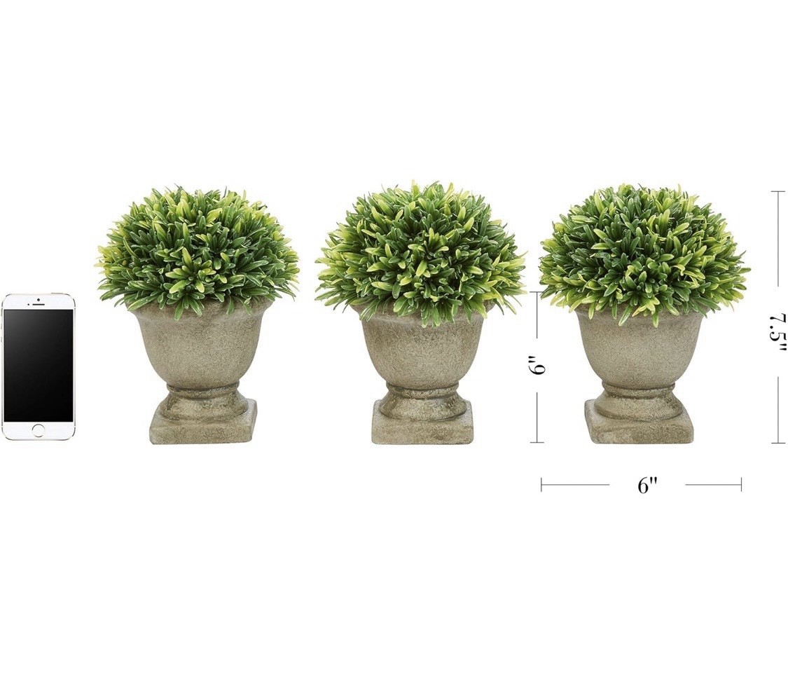 Pure Garden Set of 3 Artificial Podocarpus Grass Plant Faux Topiary Concrete Pot