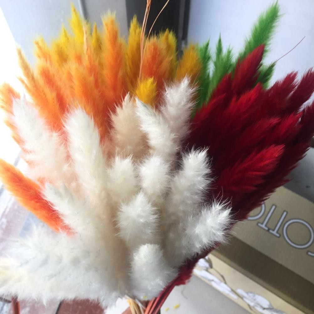 15 Natural Small Pampas Grass Photography Props For Home Decor Easy To Use