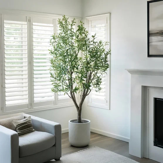 Life-like Faux 8′ Tall Olive Tree with Modern Cream Planter Indoor