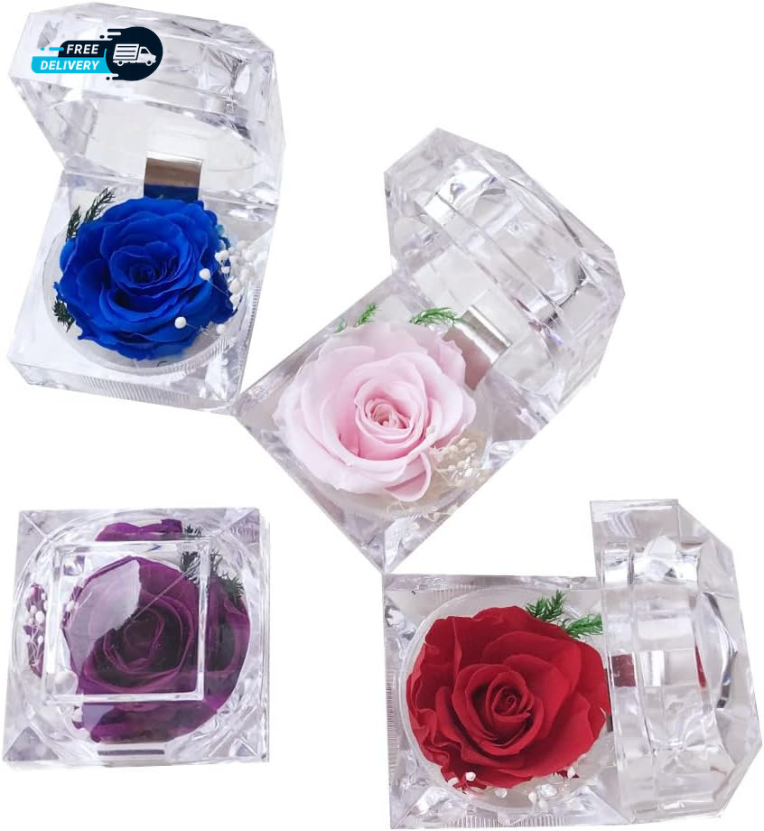 Preserved Rose Real Forever Rose in Mini Clear Ring Box, Eternal Flower Rose Gif
