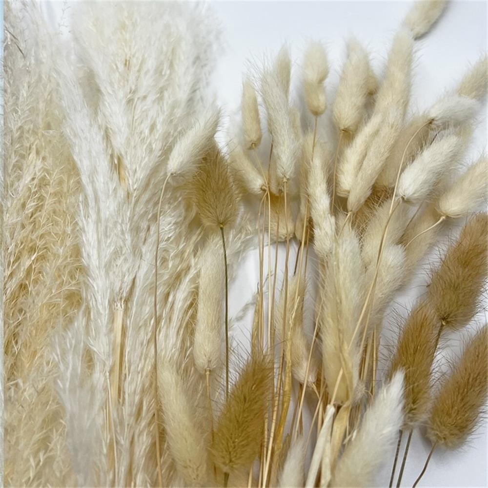 Pemberly Row 10-inch High Real Preserved Mixed Bouquets in Small Size