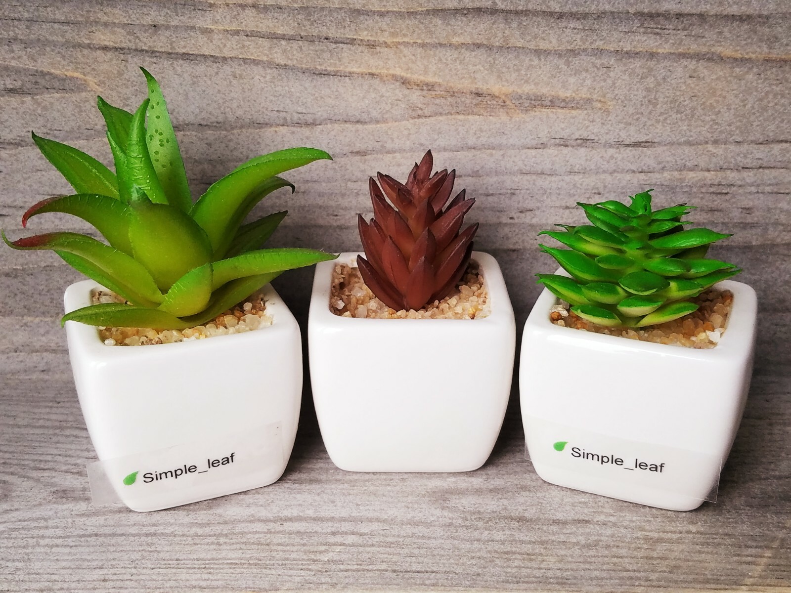 Decor Set – 3 Potted Artificial Succulent, Dried Grass Bouquet in Glass Bottle
