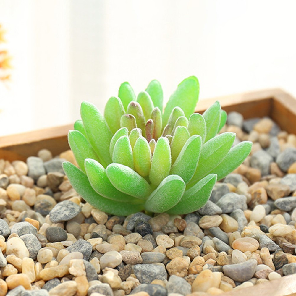 Simulated Succulent Plant Wall Accessories Plant Flower Head DIY Supplies Decor