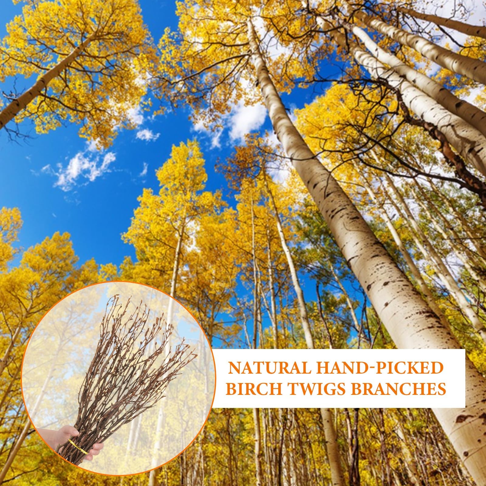 120 PCS Natural Dried Birch Twigs 17 Inch Branches For Vase DIY Home Decor