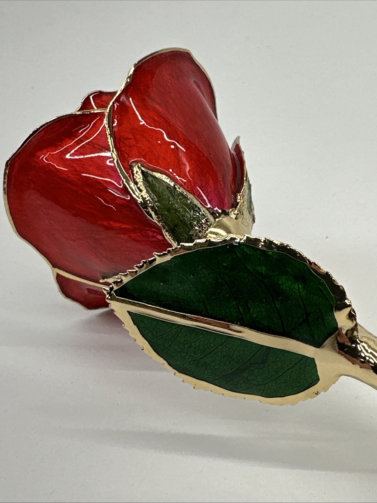 24k Gold Accent Roses Steven Singer Red & Gold & Golden Blooming Rose