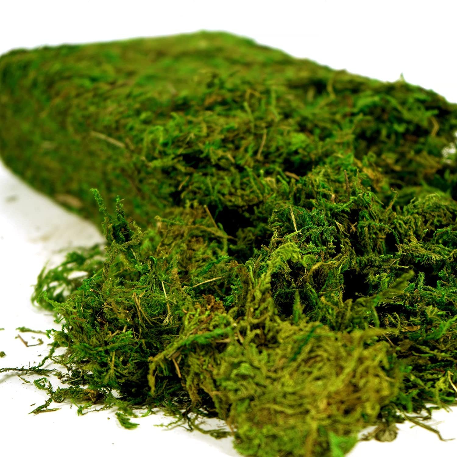 Artificial Moss, 16OZ Fake Moss for Crafts, Decorative Centerpieces, Fairy Ga…