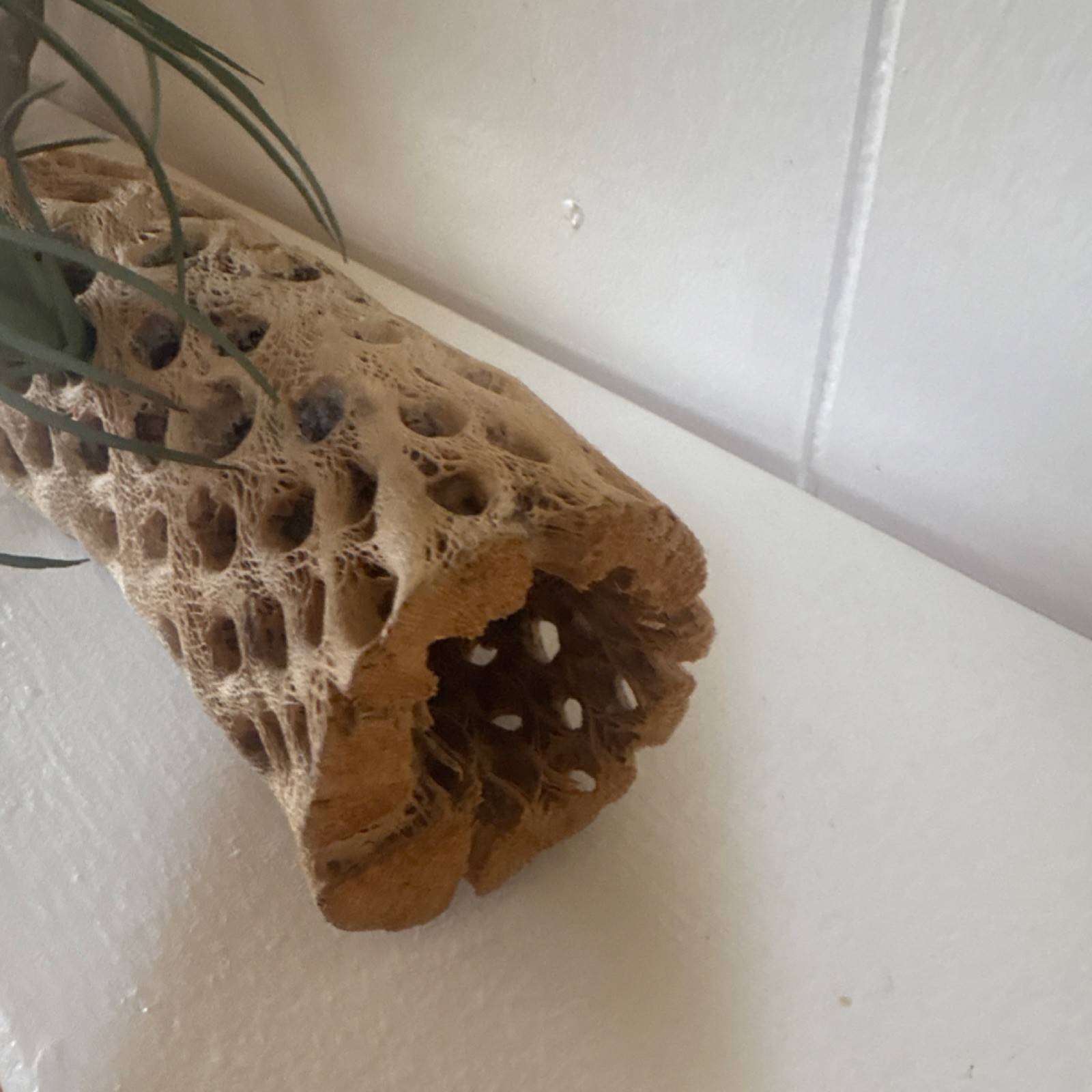 Fake Air Plant Driftwood Decor Coastal Boho Shelf Accent