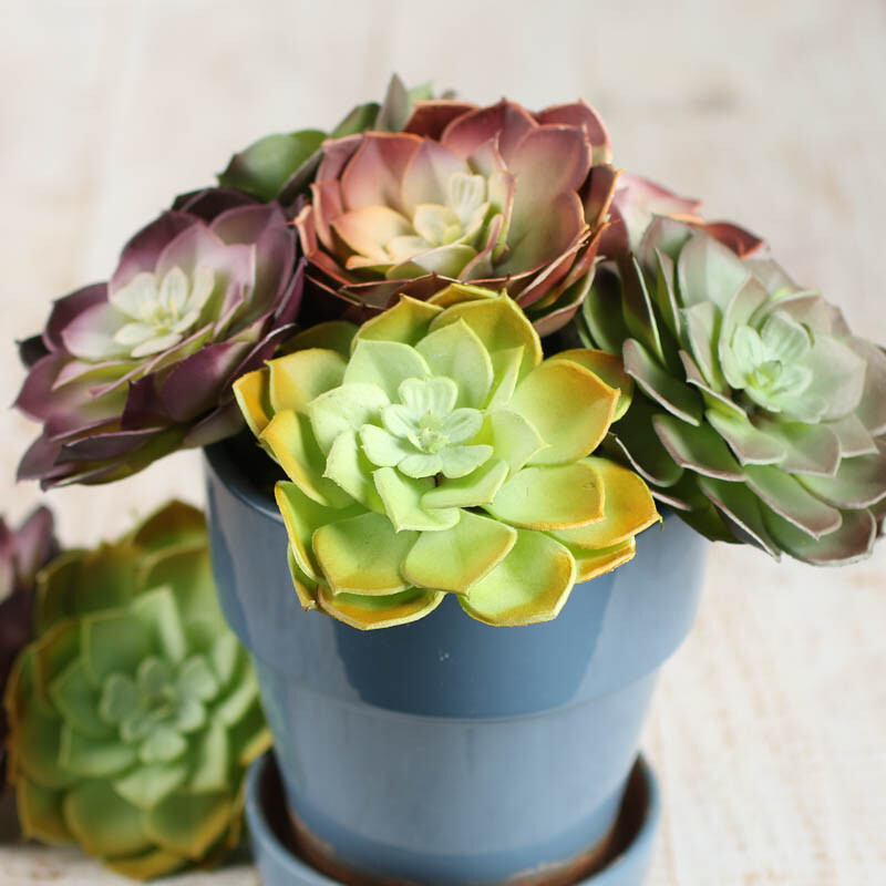 Package of 8 Artificial Hen and Chick 3-1/2″ Succulent Picks
