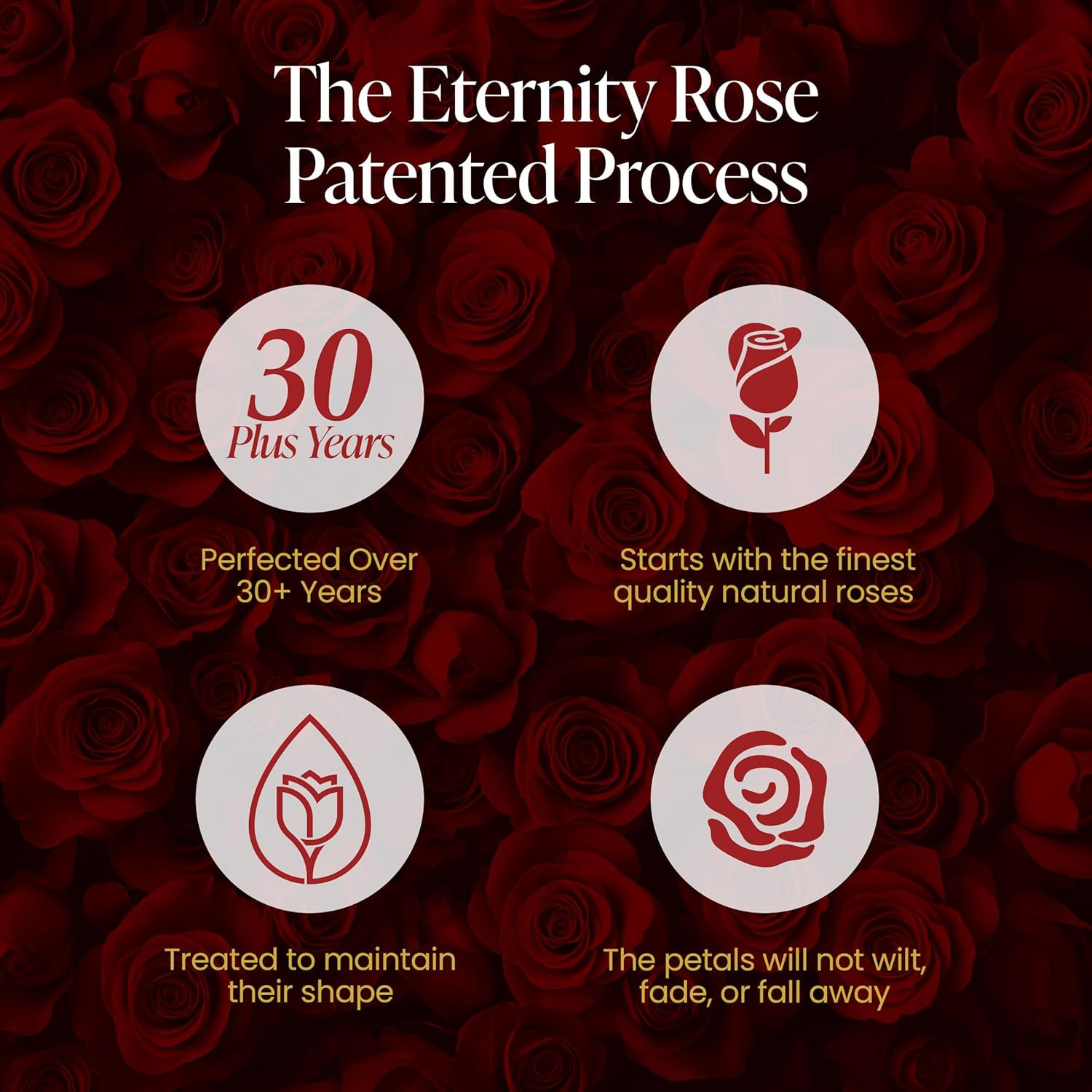 9-Piece Preserved Roses in a Luxury Gift Box – Real Roses in Square Black Box –