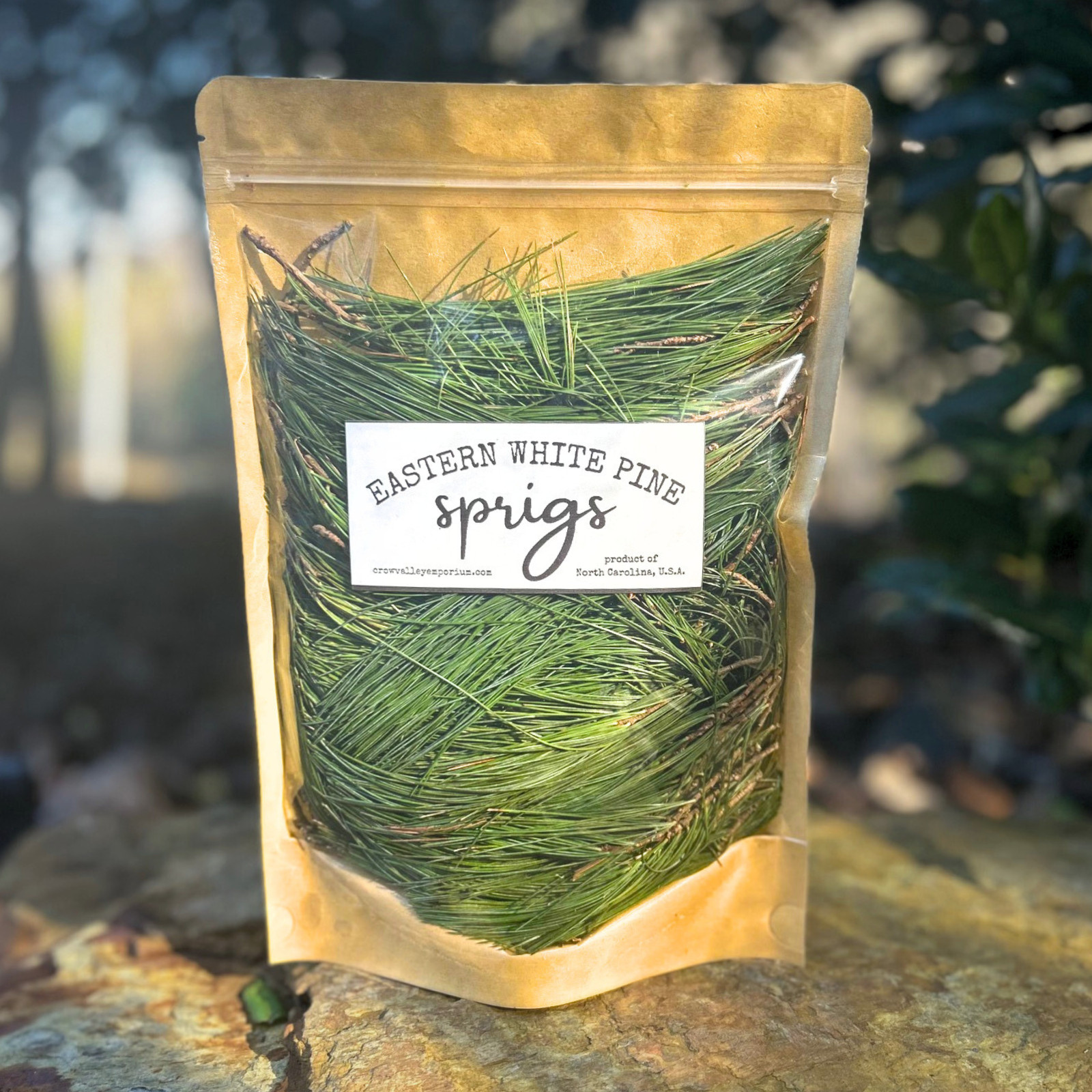 Eastern White Pine Needles, Fresh Pine Cuttings, Pine Needle Tea, Simmer Pot 8oz