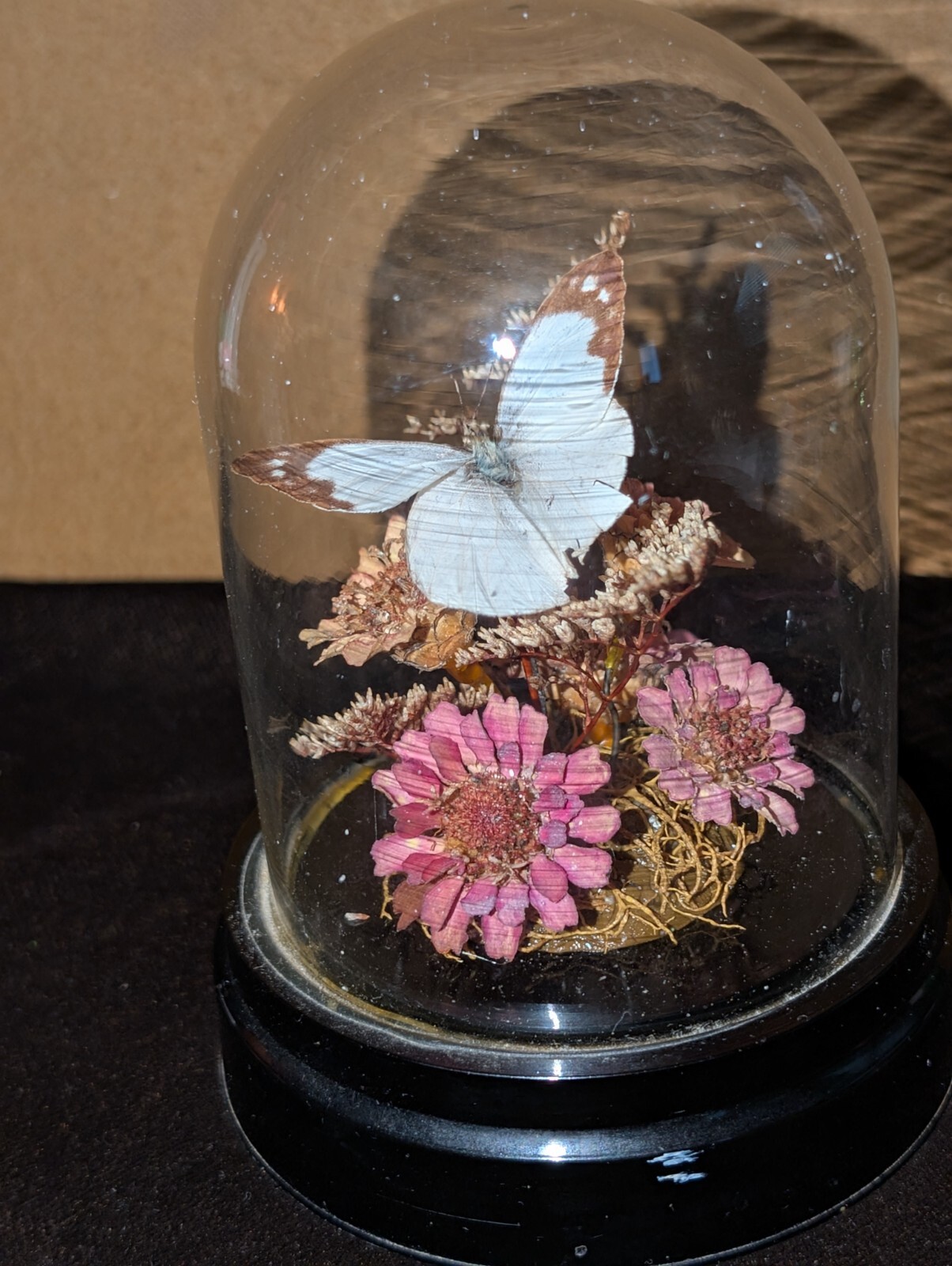 Vintage Glass Dome Butterfly and Flower Arrangement 5in Tall