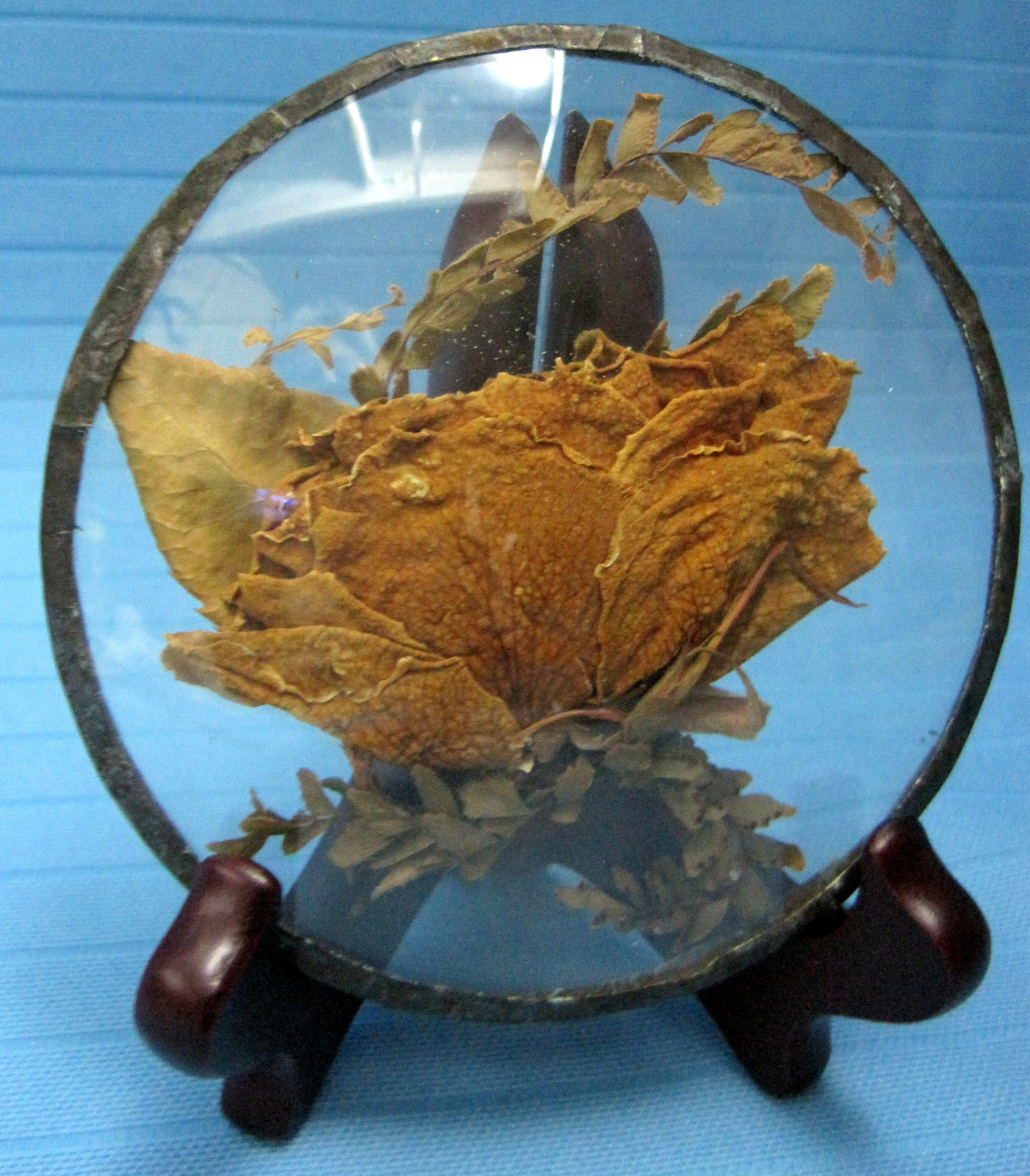 Real Rose Dried Natural Flower Sealed in Glass on Wood Stand