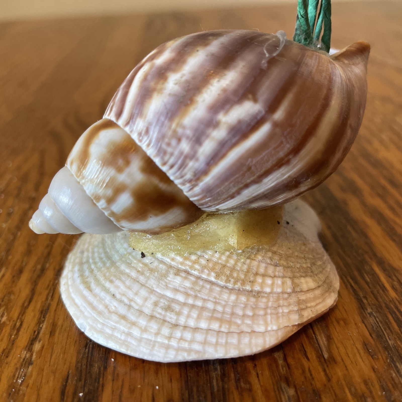 Vintage Handmade Sea Shell Bouquet of Yellow Flowers Floral Arrangement Kitsch