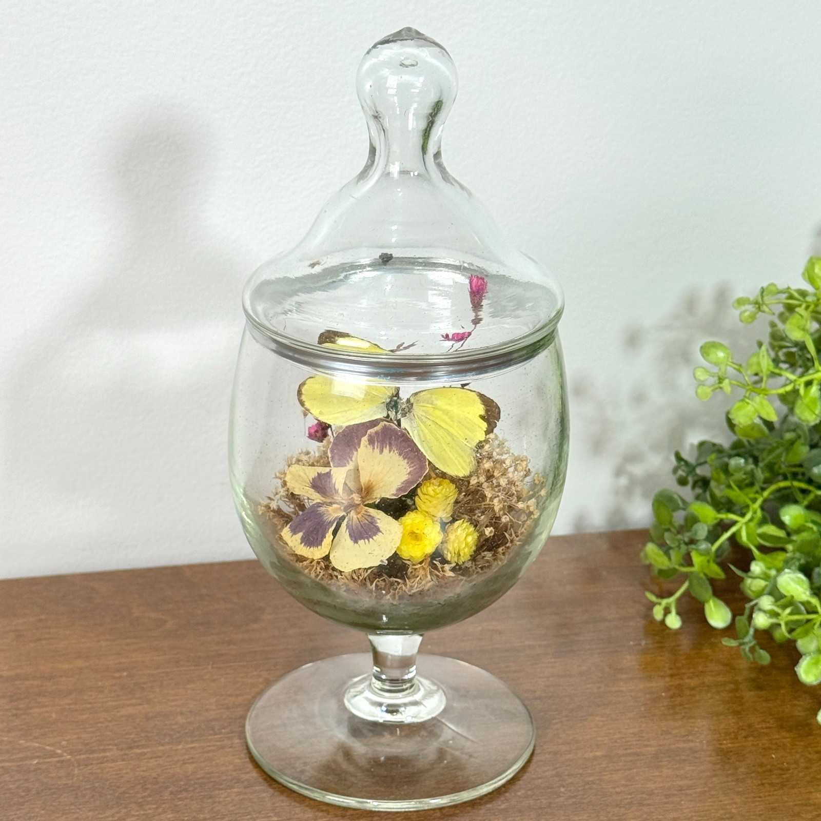 Vintage Glass Cloche Dome Dried Flowers Butterfly Terrarium Apothecary Decor