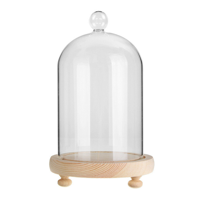 7.87″ Glass Display Bell Jar Dome Cloche Base Decorative Stand Immortal Flower