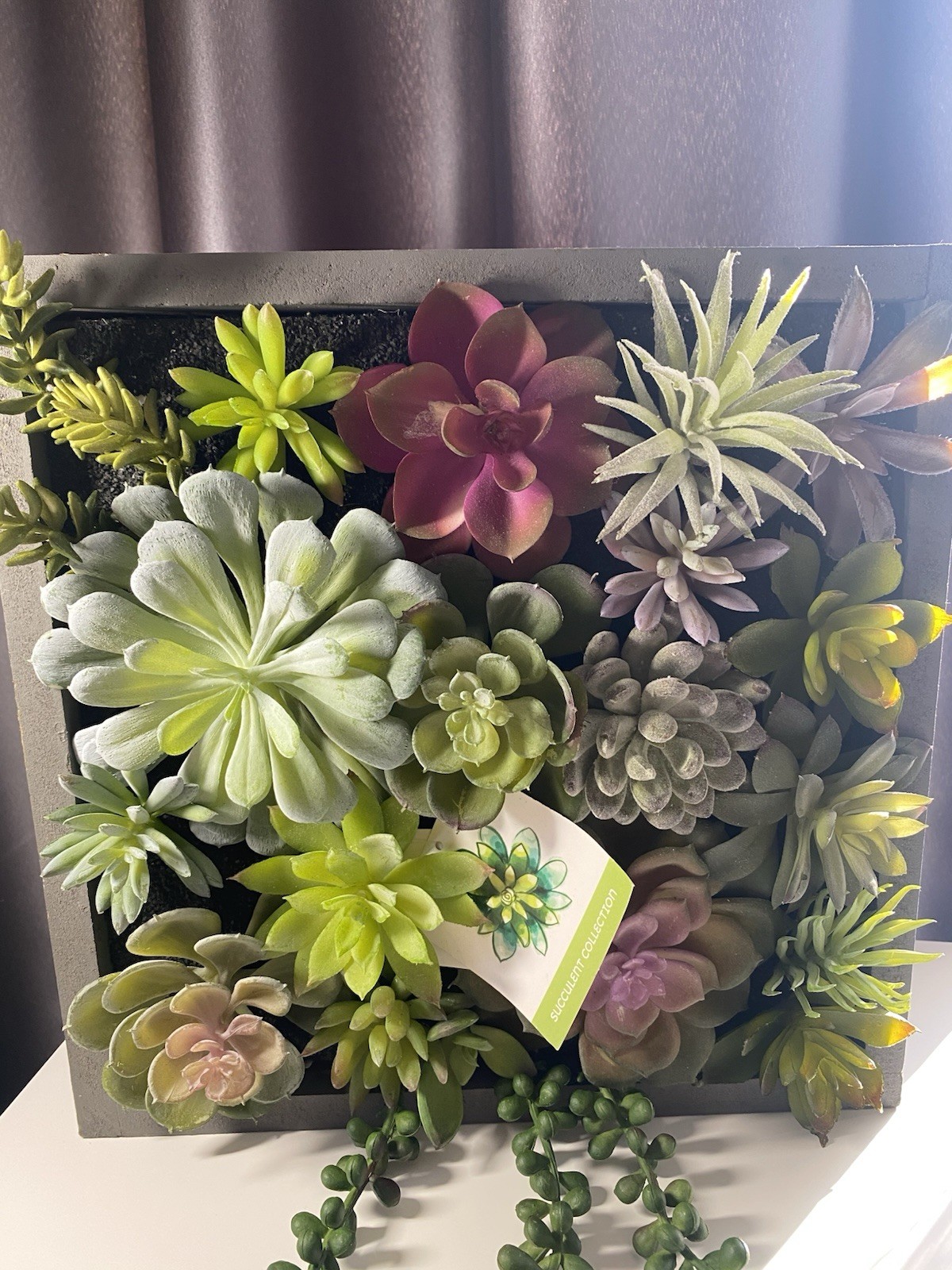 WALL OF FAUX SUCCULENTS in Gray Wood Box Decor Display 12x11x3 inches Art