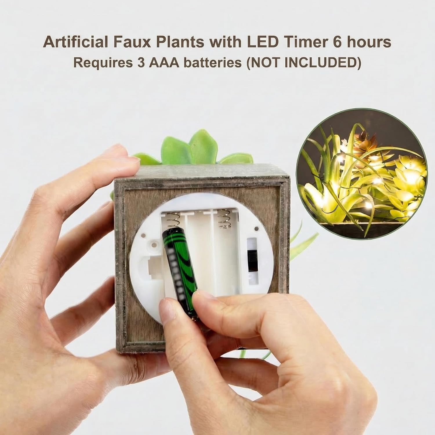 Mini Succulent Plants with LED Lights – 3 Pack for Home & Office Decor