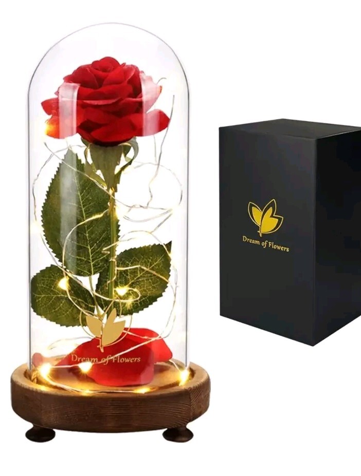 Rose Gifts for Women Beauty and the Beast Rose Kit, Red Silk Rose Lasts Forever