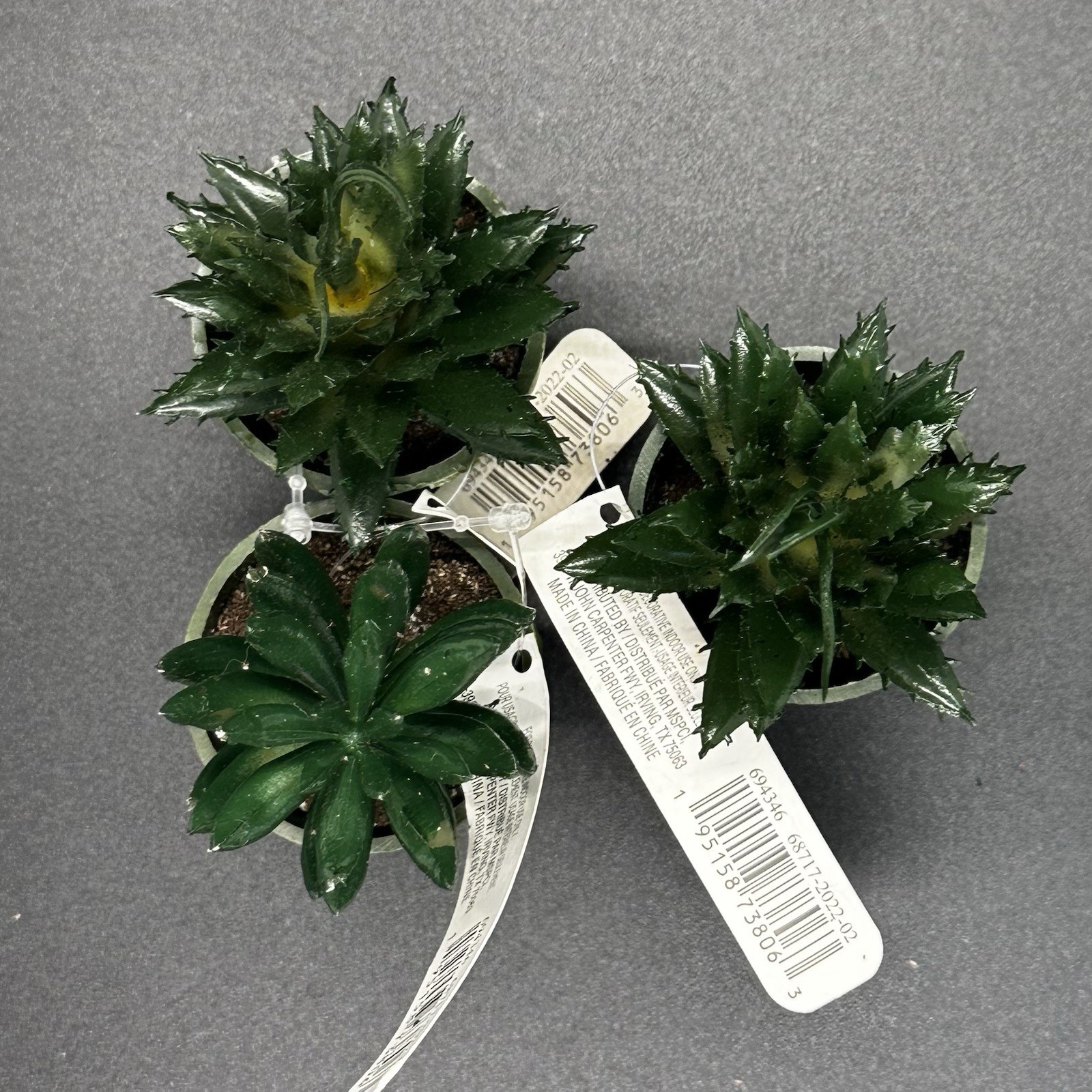 25 Mini Artificial Succulent Plant Lot Potted Black Green Purple Halloween Craft