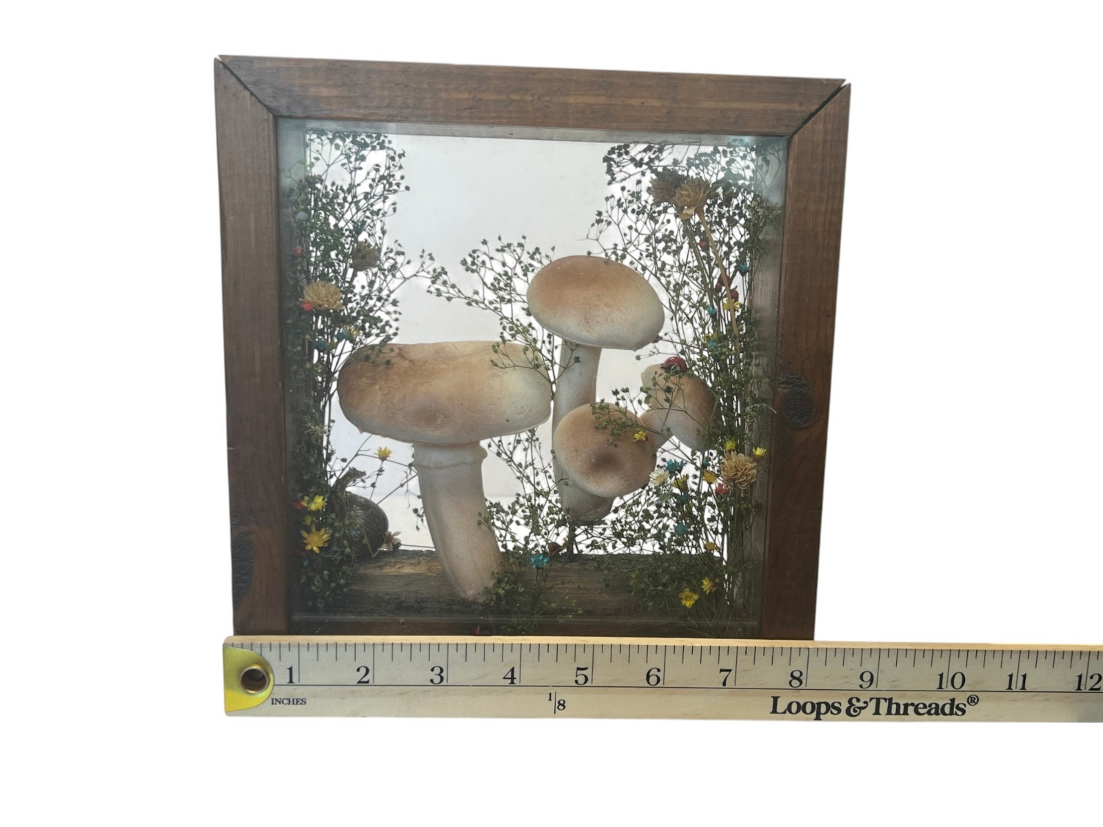 Vtg Cottage Core Mushroom Shadow Box Wood 1970s Decor Fairy Garden MCM Merry