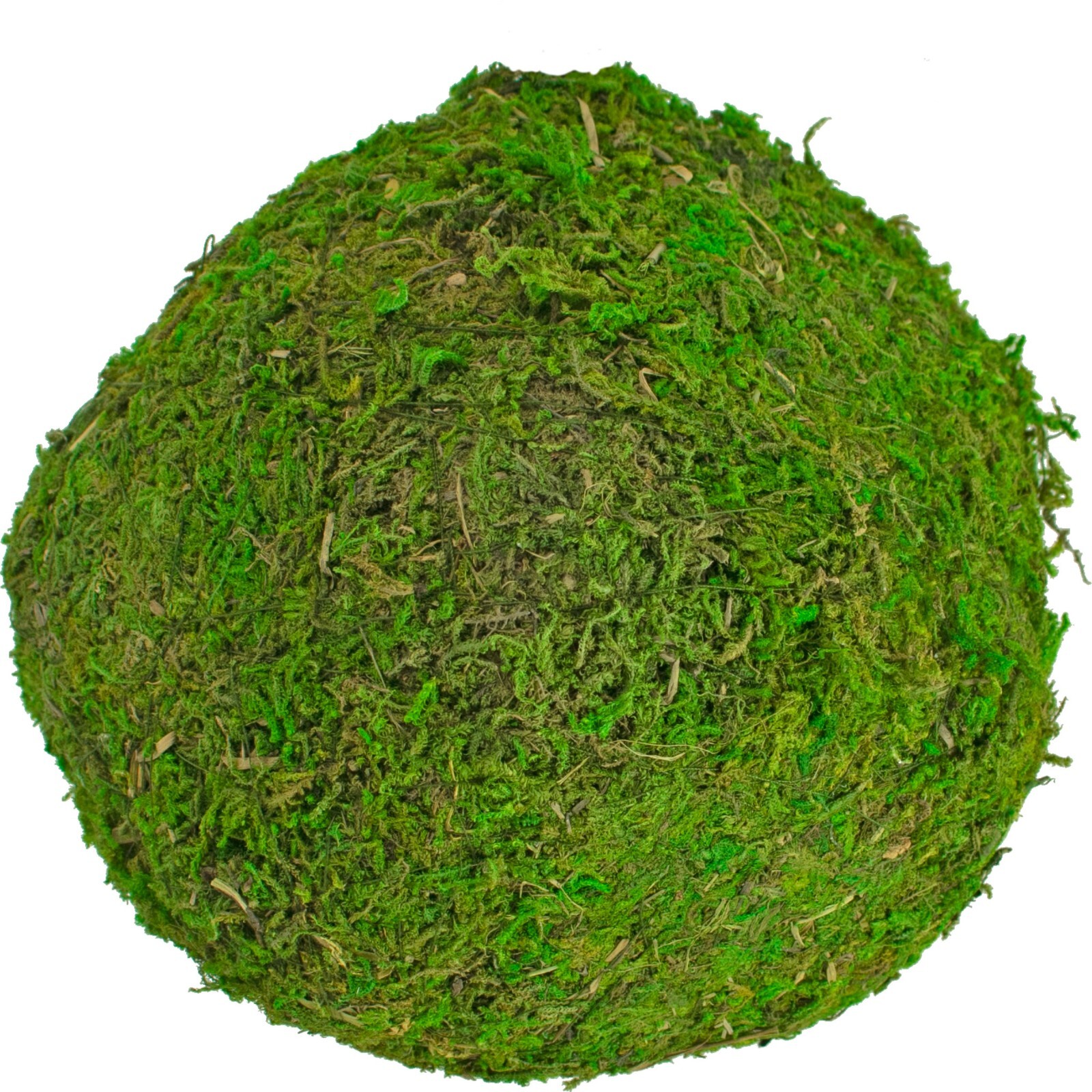 Decorative Moss Balls, Real Natural Home Decor, Accents, Centerpiece Bundle of 8