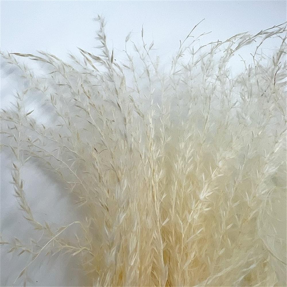 Pemberly Row 10-inch High Real Preserved Mixed Bouquets in Small Size