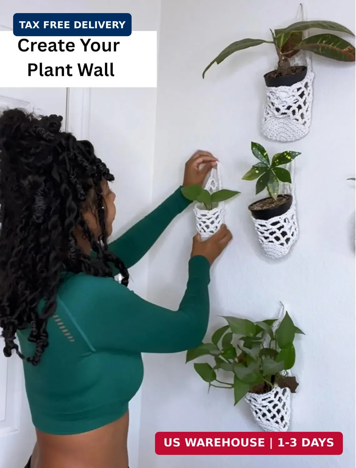 3 Packs Hanging Planters for Indoor Plants up to 4 in., Wall Plant Holder | Plan