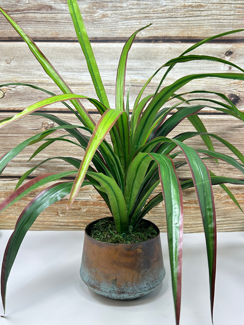 20″ Lg Artificial Green-Red YUCCA SWORD Fern faux Silk plant in Copper Pot