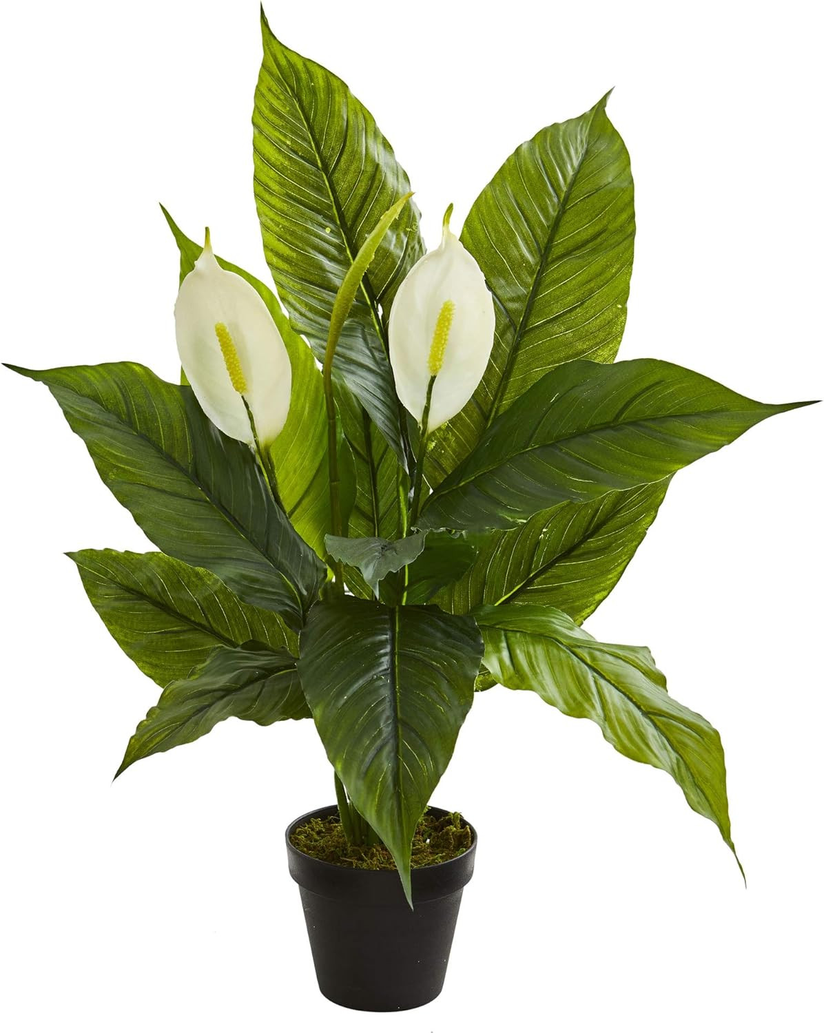 42″ & 26″ Spathiphyllum Artificial Silk Plants – Lush Green Decor