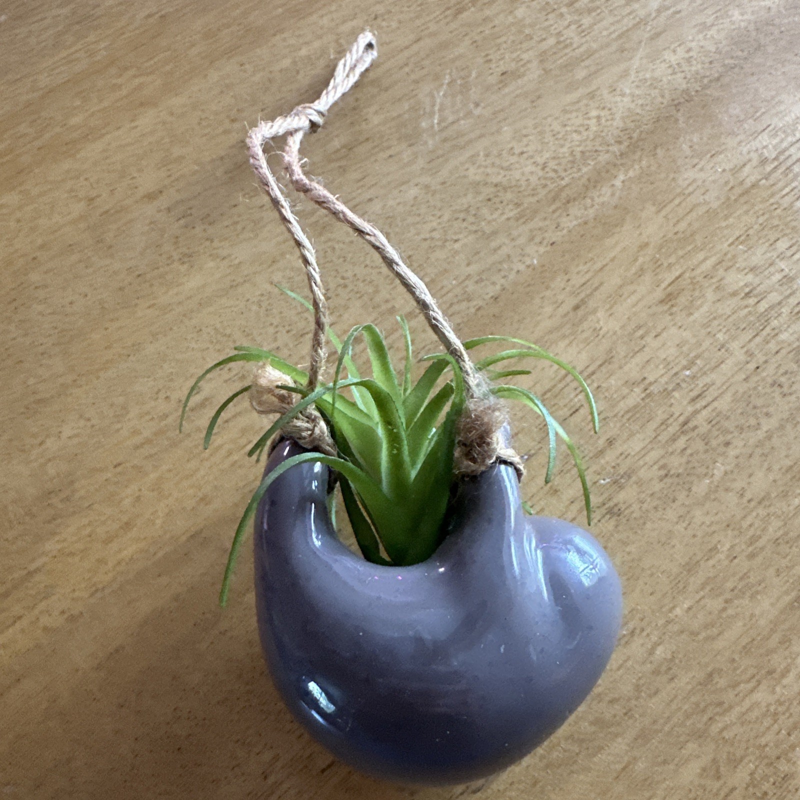 Sloth 🦥Grey Mini Hanging Critter Faux Air Plant Succulent Natural Life Collect