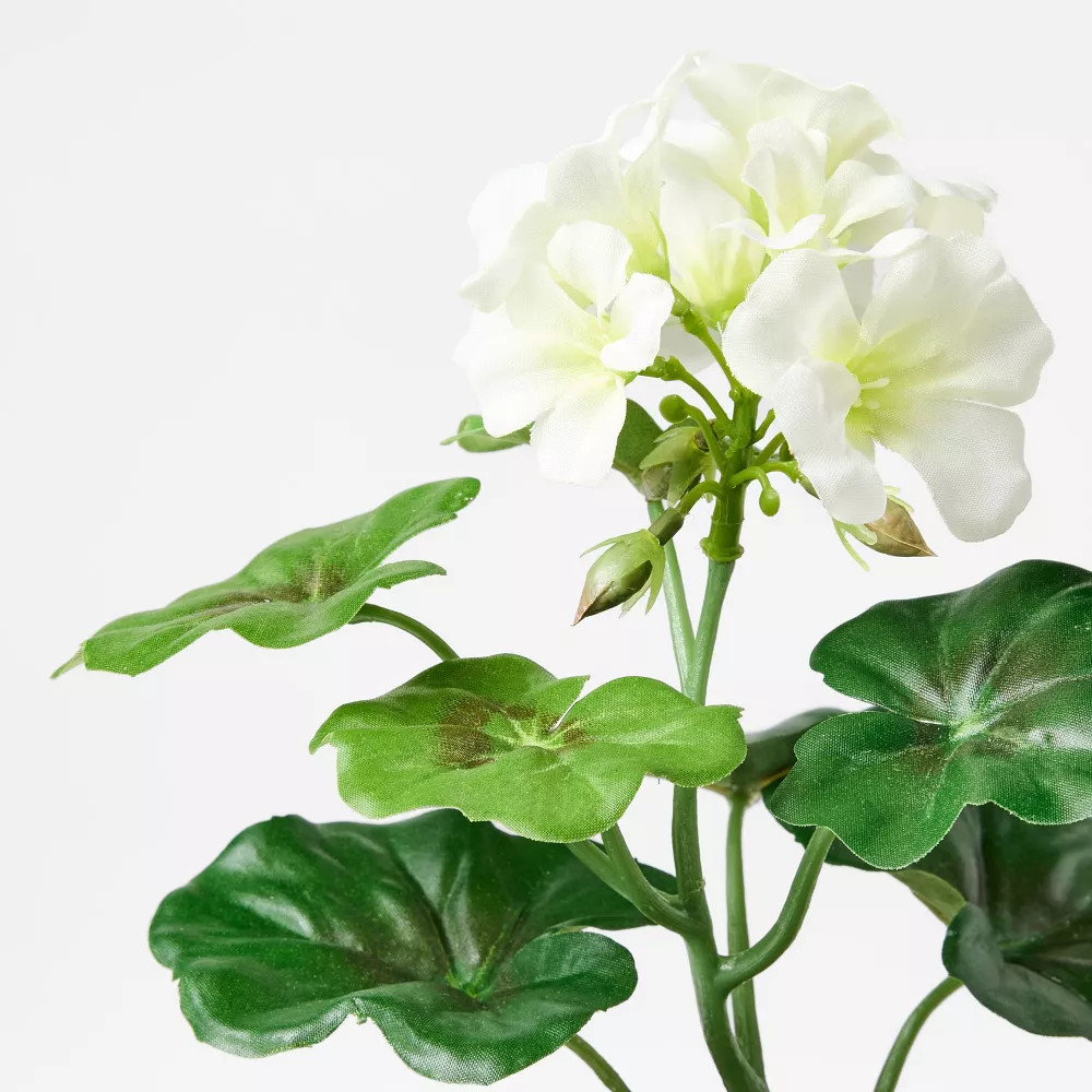 Set of 3 Geranium Potted Arrangements – Threshold Studio McGee Decorative Plants