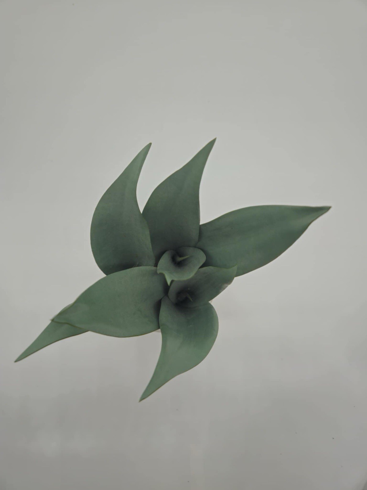 Target Threshold Snake Plant Potted Artificial White Ceramic Pot Decor