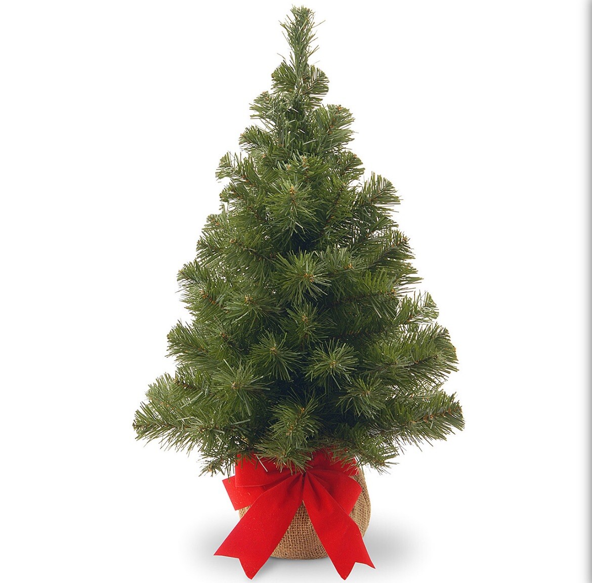 National Tree Company 2 ft. Noble Spruce Tree (fast Same Day Shipping)