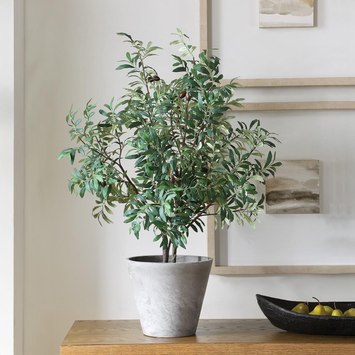 Uttermost 60268 Marisol Stone Gray and Green Potted Olive Plant
