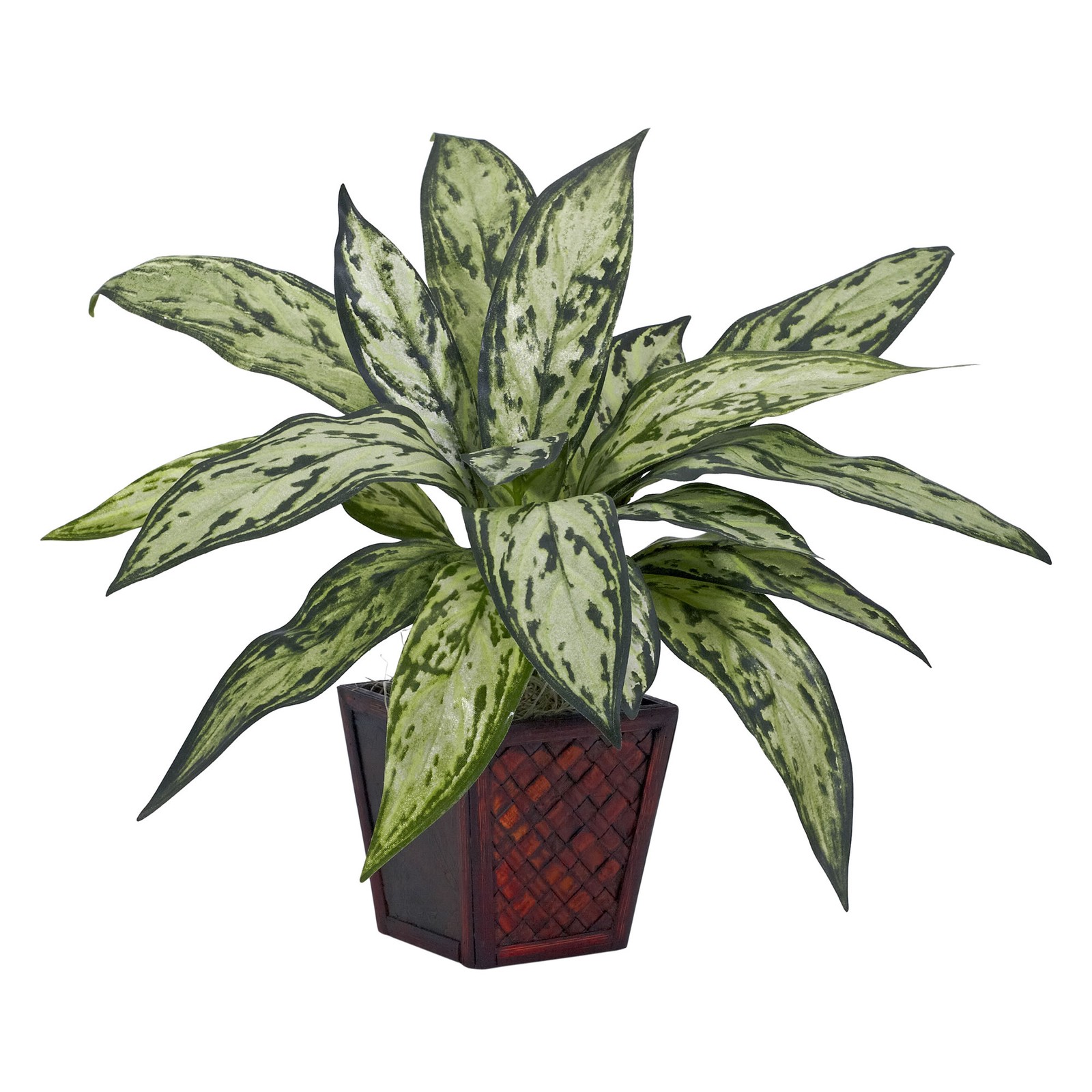 Silver Queen Silk Plant Set of 2 Artificial Realistic Indoor Decor 12 Inch